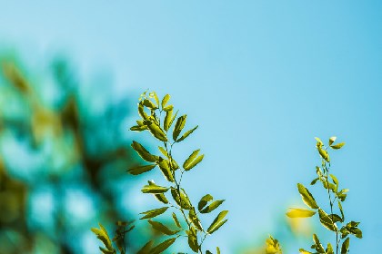 八字轻重怎么算 八字轻要注意什么