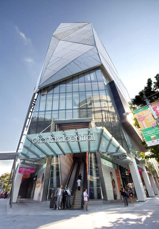 我国与新加坡建立外交关系