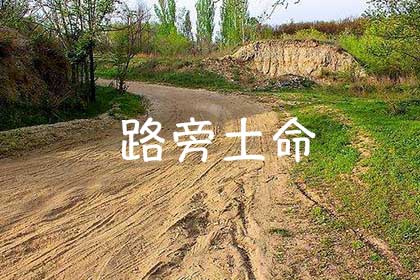 路旁土命是什么意思？