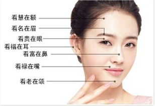 什么面相的人适合创业.jpg