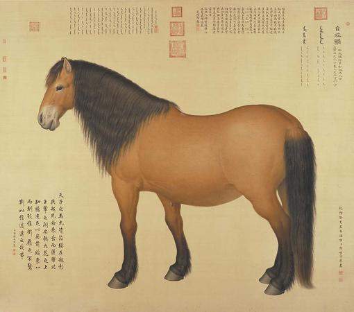 清《百骏图》作者郎世宁出生