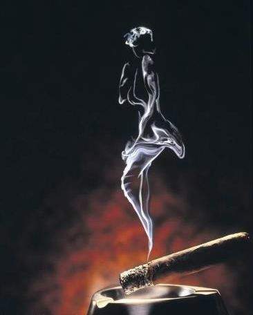 烟草渊源说