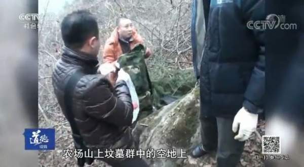 震惊全国8年之久的周克华案