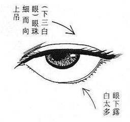 下三白眼面相详细分析
