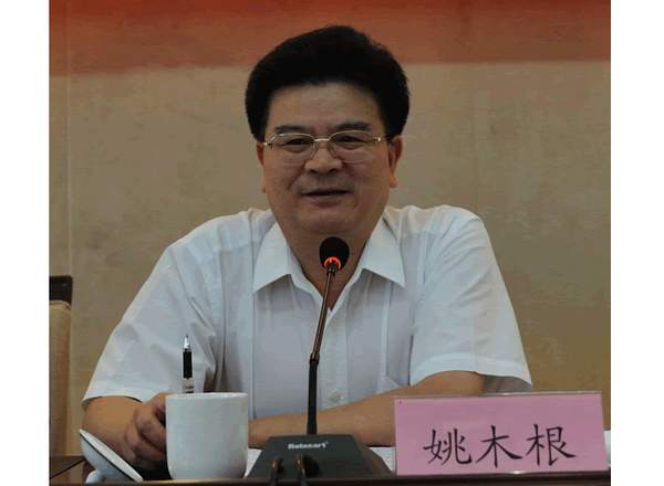江西省原副省长姚木根被查