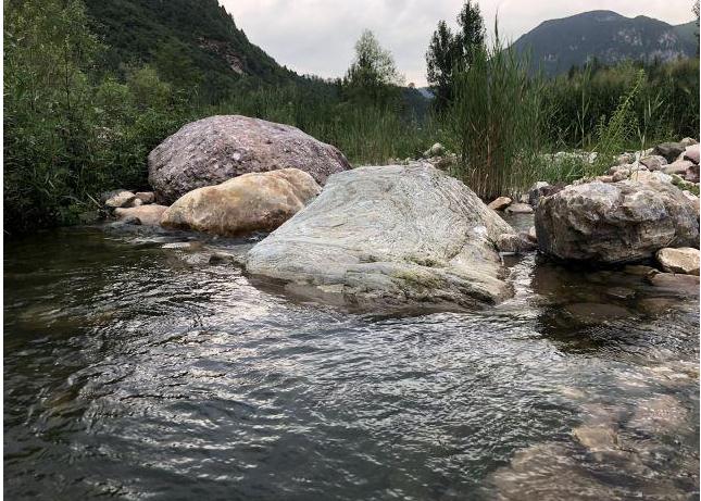 “白露水，救世人；寒露水，恶过鬼”，同是露水，两者有什么区别