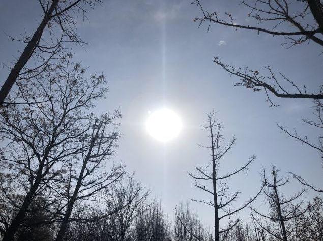 “明日六月六，三午晒龙衣，九戌定年景”，明日下雨，有啥预兆？