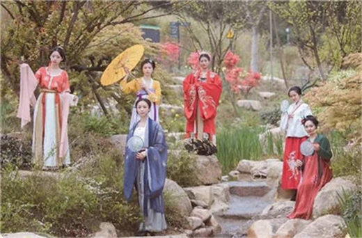 41岁1981年出生属鸡女在2022年下半年运气运势