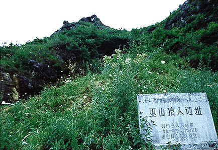 三峡建起“巫山猿人”陈列馆