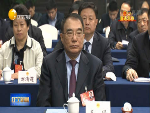 全国人大教科文卫委副主任王珉涉嫌违纪被查
