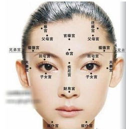 什么面相的人婚姻幸福.jpg