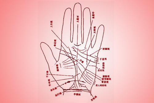 　　男女手相图解