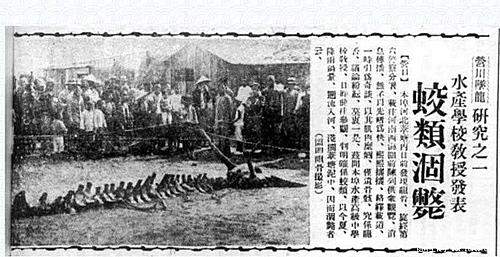 营口龙骨事件