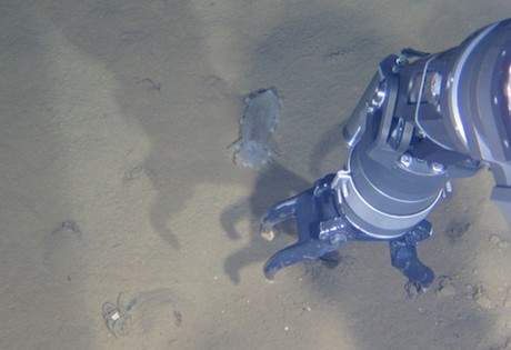 蛟龙号载人潜水器7000米级海试成功