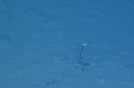 蛟龙号载人潜水器7000米级海试成功