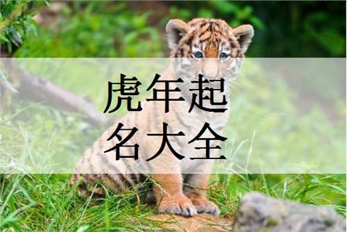 2022年虎年生肖姓崔女孩吉利名字大全