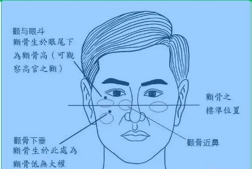 面相：贵人命格的骨相