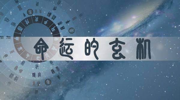 如何从八字命局中分析财运