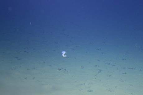 蛟龙号载人潜水器7000米级海试成功