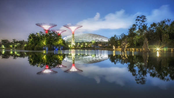 我国与新加坡建立外交关系