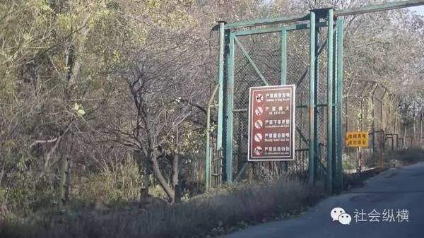 北京八达岭野生动物园老虎伤人事件