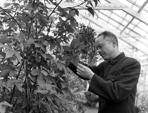 我国著名植物学家蔡希陶在昆明逝世