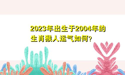 04年出生的生肖猴人2023年的运气如何？