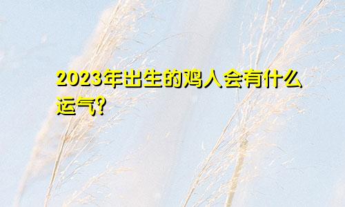 05年出生的属鸡人，在2023年会有怎样的运气？