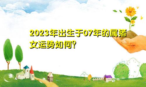 07年出生的属猪之女2023年的运势如何