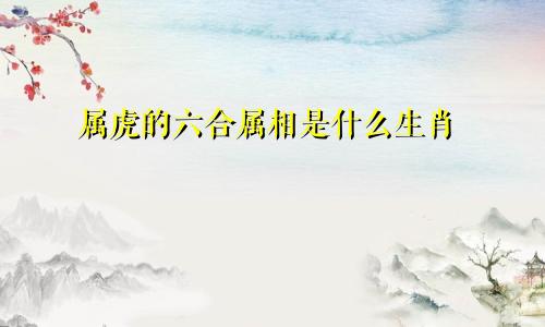 属虎的六合属相是什么生肖