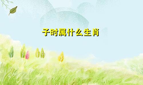 子时属什么生肖