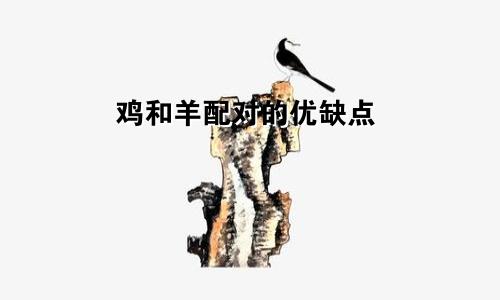 鸡和羊配对的优缺点