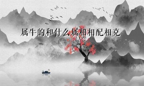 属牛的和什么属相相配相克