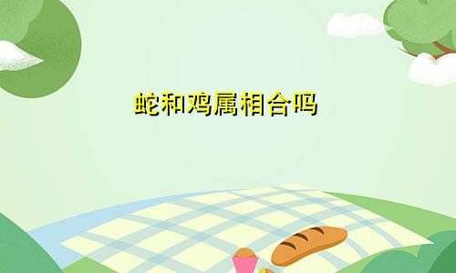 蛇和鸡属相合吗