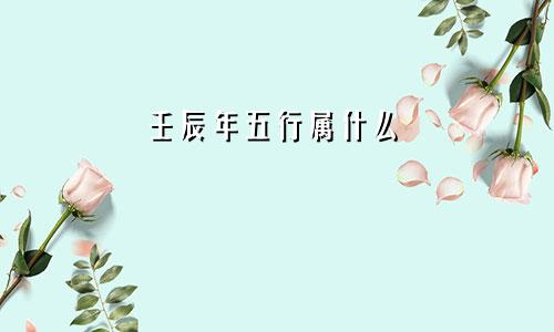 壬辰年五行属什么