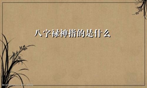 八字禄神指的是什么