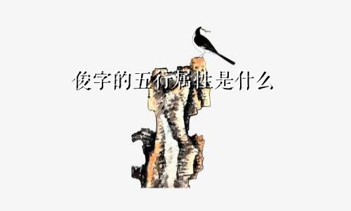 俊字的五行属性是什么