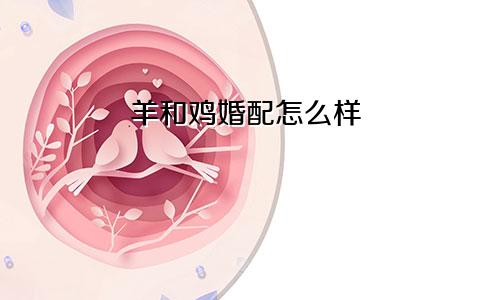 羊和鸡婚配怎么样