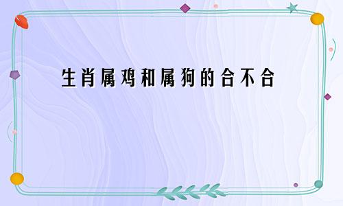 生肖属鸡和属狗的合不合