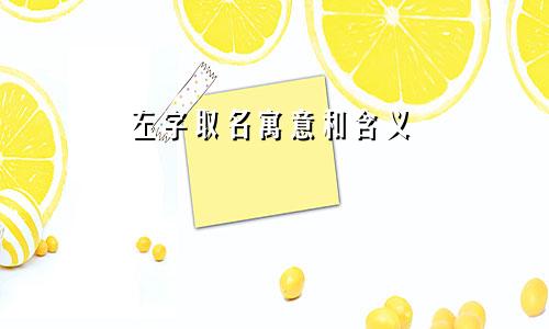 左字取名寓意和含义
