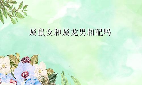 属鼠女和属龙男相配吗