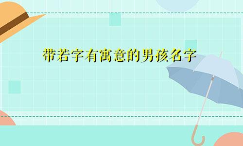 带若字有寓意的男孩名字