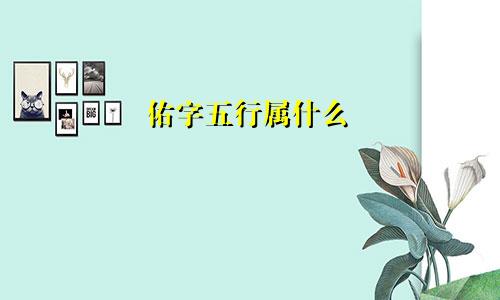 佑字五行属什么