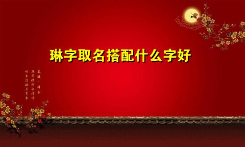 琳字取名搭配什么字好