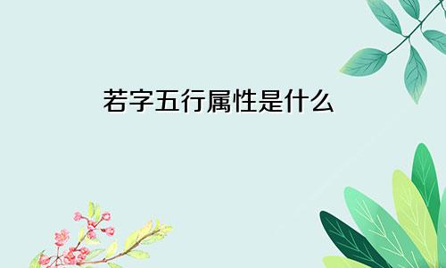 若字五行属性是什么