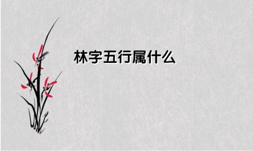 林字五行属什么