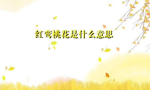 红鸾桃花是什么意思