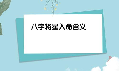 八字将星入命含义
