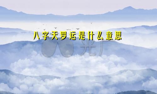 八字天罗运是什么意思