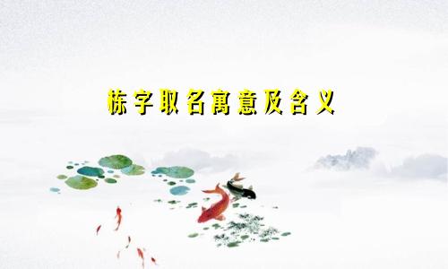 栋字取名寓意及含义